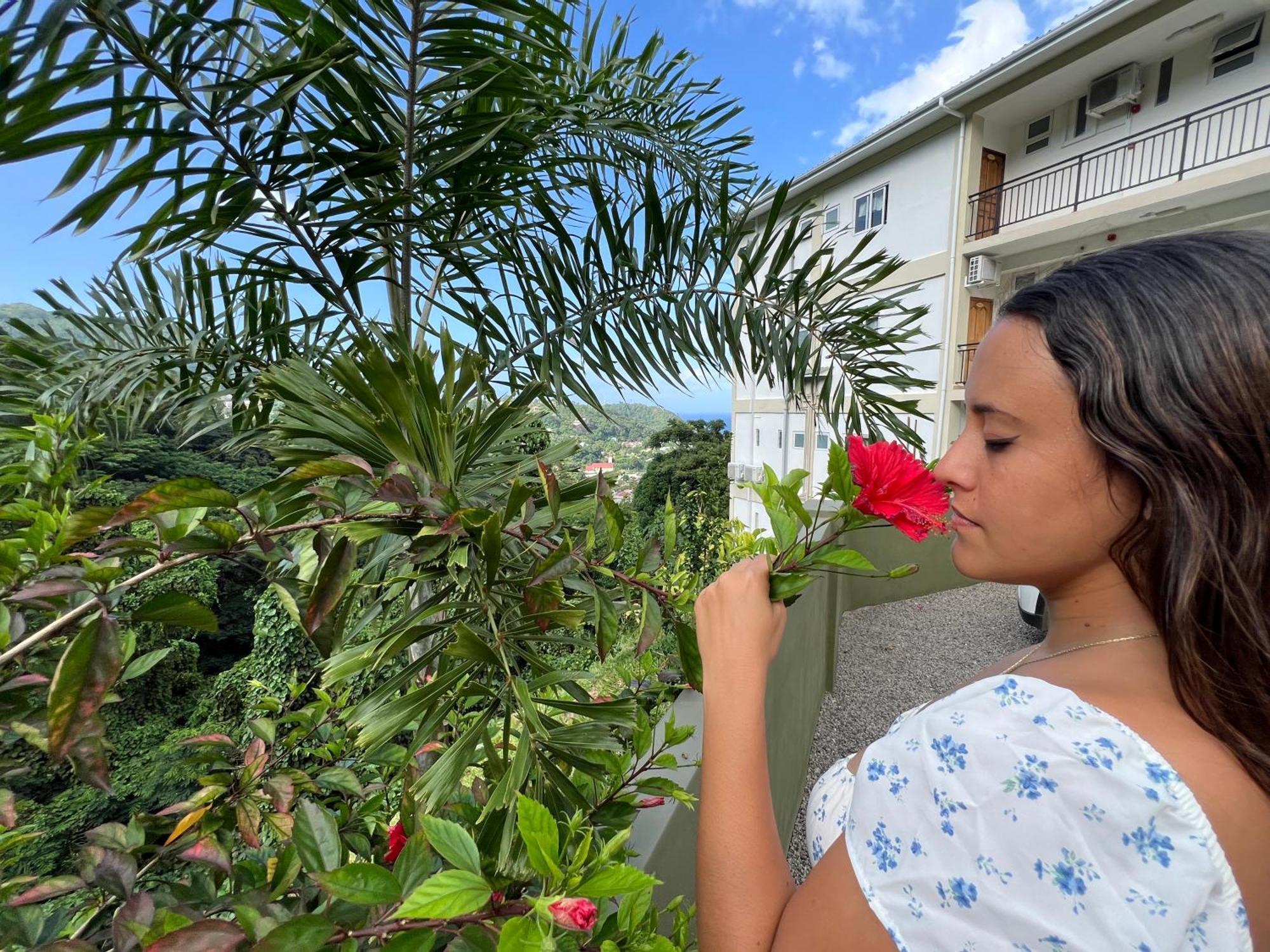 Creole Pearl Self-catering شقة